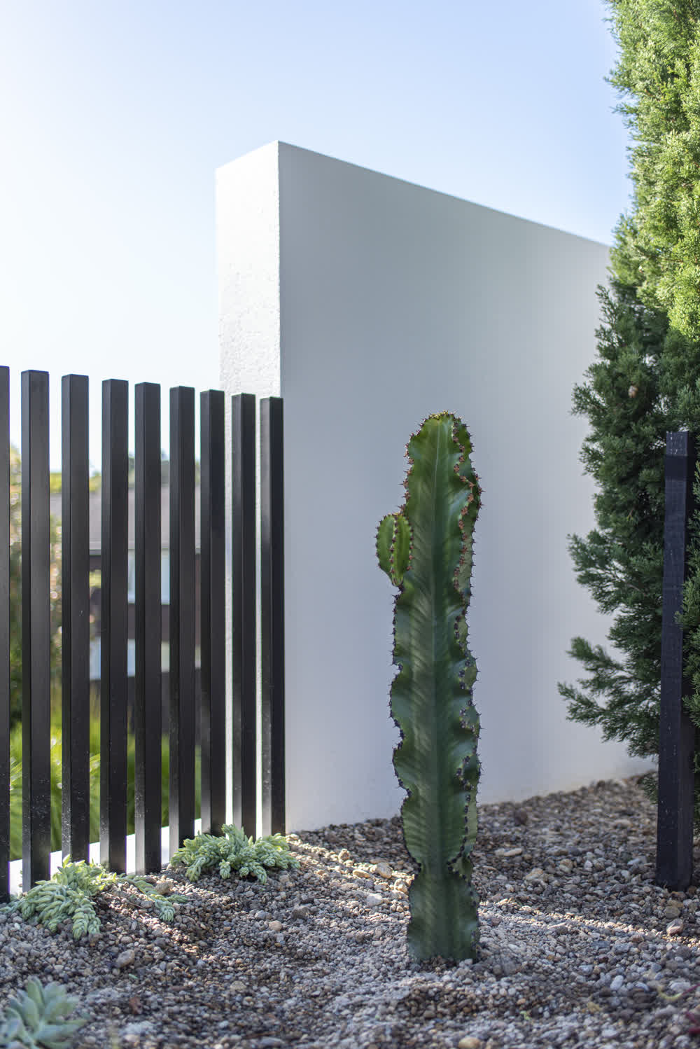 Black post fencing behind cactus rock garden